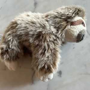 American Girl 3 toed sloth
